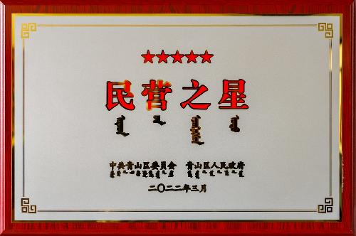 民营之星2022